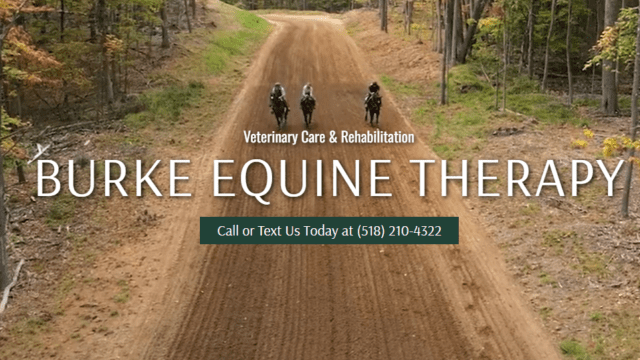 Burke Equine Therapy